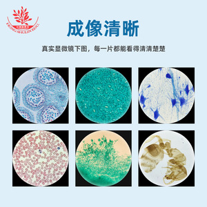 Biological Specimen Slide Set (25 slides / 50 slides) - Brand New Combination, Clear and Vivid Content, <b>Microscope</b> Accessories, - Product Image 4