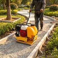 Compacteur à plaque vibrante haute performance, durable, type Wacker Packer, pour projets, vente chaude, compacteur à plaque autoporté pour la construction