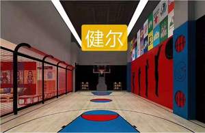 Pavimentazione in Legno Antiscivolo per Campo da Basket Indoor - Product Image 5