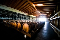 Witte Kruiderij Met Zwarte Knoflook In Fles 250Ml Gekookte Most En Witte Druiven Azijn Gv Gverdi Selectie Italiaans Voedsel Gemaakt In