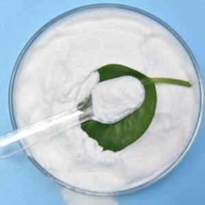 Polvo probiótico de grado alimenticio altamente activo Lactobacillus Paracasei - Product Image 2