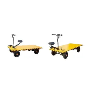 Battery Operated Platform Trolley 100kg Platform Trolley Electric Tricycle Truck For Cargo
