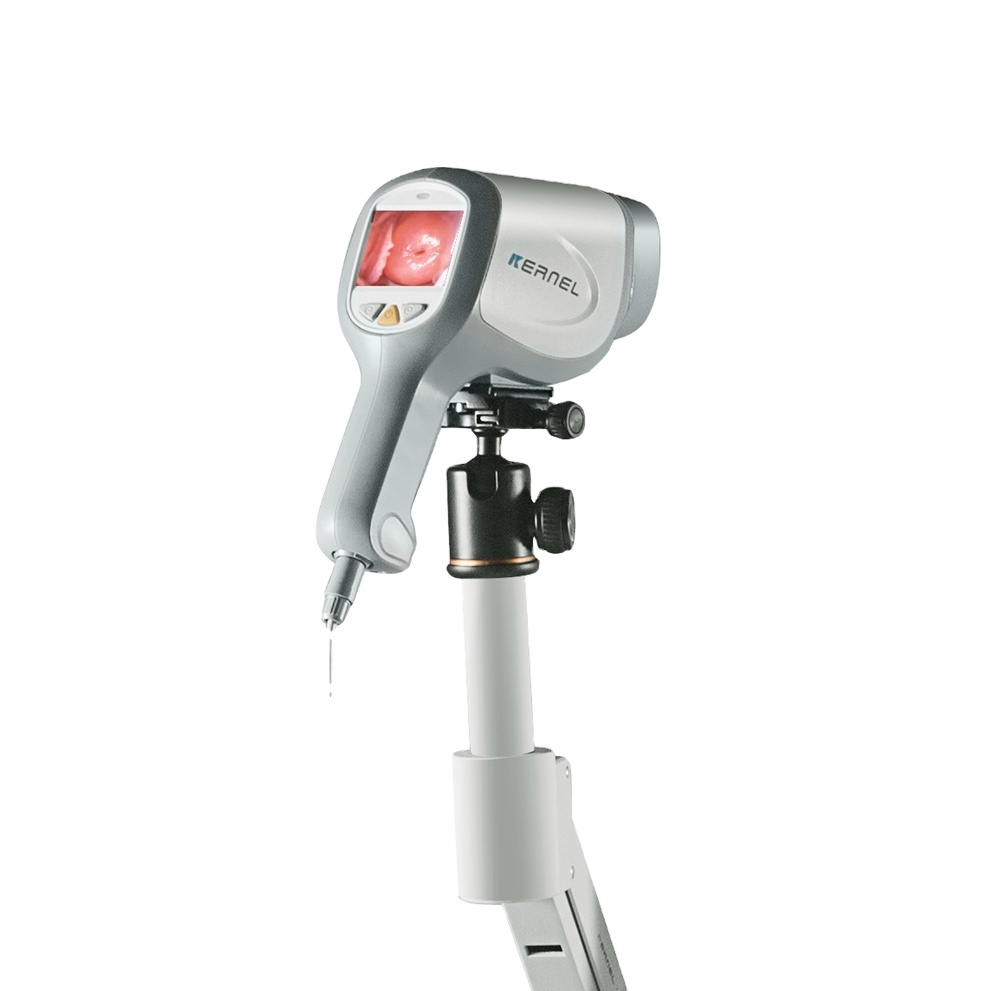 Әйелдер дәретханасының құпия камерасы