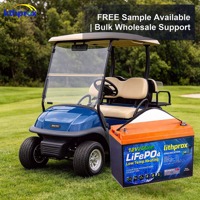 Batterie LiFePO4 haute capacité à décharge profonde 12,8V 200AH 6000+ cycles pour voiturette de golf avec BMS intelligent, bus CAN, borne M8, CE RoHS IP67 OEM/ODM