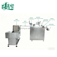Système intégré d'alimentation par élévateur de bouchons de bouteilles, marquage laser UV, prise en charge AI/DST, inspection jet d'encre de codes QR/dates, machine de rejet