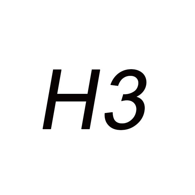 H3