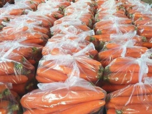 <span class=keywords><strong>2025</strong></span> Trung Quốc tươi sản phẩm sản xuất với khoảng cách cây trồng mới chất lượng cao cho xuất khẩu tươi Cà rốt - Product Image 6