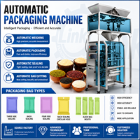 Máquina Automática para Empacar Snacks, Máquina para Empacar Bolsas de Semillas de Girasol, Otras Máquinas de Empaque