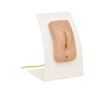 Modelo de Entrenamiento de Anatomía Genital Femenina, Maniquí de Práctica de Ginecología para la Enseñanza en Facultades de Medicina