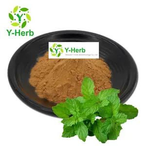 Organic Wild Mint Herb Extract Powder 10:1 Peppermint/Mint Leaf/Mint Extract