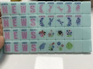 ชุดไพ่นกกระจอกอเมริกันอะคริลิคสีมุก-น้ำเงิน Plum Panda Spring Wildlife ลดราคา - Product Image 1