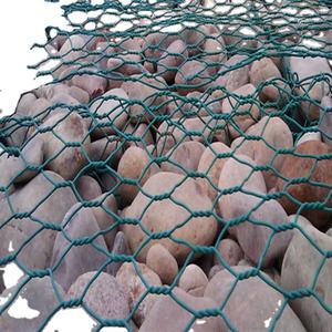 Ventes d'usine Prix le plus bas Usine directe chinoise Treillis métallique hexagonal enduit de PVC Treillis métallique de poulet en plastique vert - Product Image 5