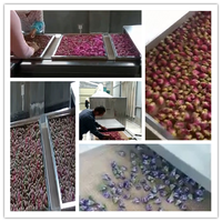 Herbes Séchoir À Micro-ondes À Tunnel Machine de Séchage pour le Chèvrefeuille Jasmin Lavande