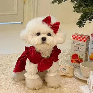Otoño Invierno pequeño cachorro princesa falda mascota gato diseño de moda ropa linda