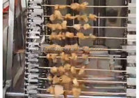 Nouveau Barbecue Électrique Rotatif Automatique en Acier Inoxydable 304 (Brésilien/Grec) pour Kebab, Utilisation Intérieure et Extérieure