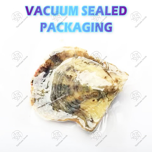 هدية حفلات من اللؤلؤ الطبيعي الدائري 7-9 بيجو أون بيرل بلانش باروك معبأ بالتفريغ - Product Image 4