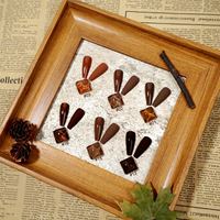 Classiques Essentiels Automne/Hiver BD – 12 Couleurs Marron Café – Vernis à Ongles Gel Haute Couvrance Sans HEMA Semi-Permanent Soak Off