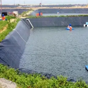 Geomembrana para tanque de piscicultura Hdpe Lagoa para aquicultura na Malásia