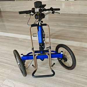 Tricycles à une vitesse, vélos cargo à 3 roues, vélos électriques Bakfiets pour loisirs, courses, exercices avec dossier - Product Image 3