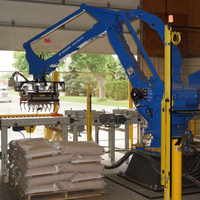 Paletizador automático/Robot apilador equilibrio grúa ladrillos paletizador máquina caja paletizador