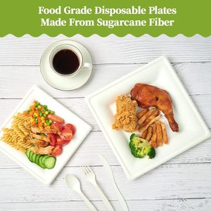 Assiette carrée jetable de 6 pouces en pulpe de bagasse de canne à sucre blanche, compostable, pour fêtes et événements - Product Image 4