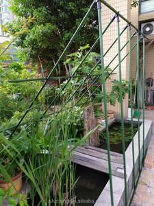 เสาค้ำต้นไม้และพลาสติกเคลือบ PE เสาสวนยืดได้เป็นมิตรกับสิ่งแวดล้อมทนทานต่อการประกอบง่าย - Product Image 5