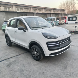 Le mini véhicule électrique populaire <span class=keywords><strong>de</strong></span> Suke, un véhicule électrique à quatre roues pour adultes, est largement vendu en Chine. - Product Image 1
