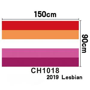 Cordón de Bandera de Arcoíris de Poliéster de 2x50cm con Logotipo Personalizado, Asta de Bandera de Fibra de Vidrio para el Orgullo Gay LGBT - Product Image 3