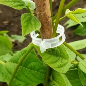 Clips de soutien <span class=keywords><strong>pour</strong></span> plantes en plastique <span class=keywords><strong>pour</strong></span> jardinage, petits clips blancs, noirs, gris, <span class=keywords><strong>pour</strong></span> soutenir les tiges de plantes, clips de greffage <span class=keywords><strong>pour</strong></span> tomates et concombres - Product Image 6
