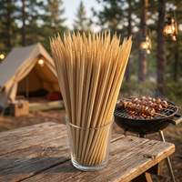 Milieuvriendelijke Xizhu bamboe BBQ spiesjes & satay stokjes - 100% biologisch afbreekbaar, voor gebruik tijdens kamperen, 80-100 stuks