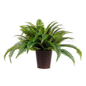 Feraula di Boston Artificiale di Lusso <span class=keywords><strong>in</strong></span> <span class=keywords><strong>Vaso</strong></span> Intrecciato, Pianta <span class=keywords><strong>in</strong></span> Plastica Fatta a Mano per Interni, per Vetrine di Caffetterie e Negozi, Arredamento Moderno per la Casa - Product Image 2