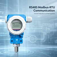 Transmetteur de pression RS485 Modbus avec écran LCD 0-100 bar en acier inoxydable pour systèmes industriels d'eau, d'huile et de gaz