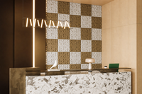 Panneau Acoustique Géométrique 3D en PET 50x50cm, Décoration Murale Moderne en Fibre de Polyester Écologique NRC 0.9 pour Entrepôt, Salle de Sport, Salon, Bureau, SPA