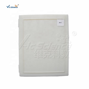 Juego de 100 Portaobjetos de Microscopio con Imágenes Claras para <span class=keywords><strong>el</strong></span> Estudio de Células Animales y Vegetales, Equipo de Laboratorio Biológico, <span class=keywords><strong>Ciencia</strong></span> Médica - Product Image 6