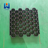 Grille de stabilisation du sol en HDPE robuste pour allées et parkings aux États-Unis