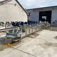 Volledig automatische fruit- en groenteverwerkingslijn, hoogwaardige bladgroente-bubbelreiniger en -droger met een goede prijs