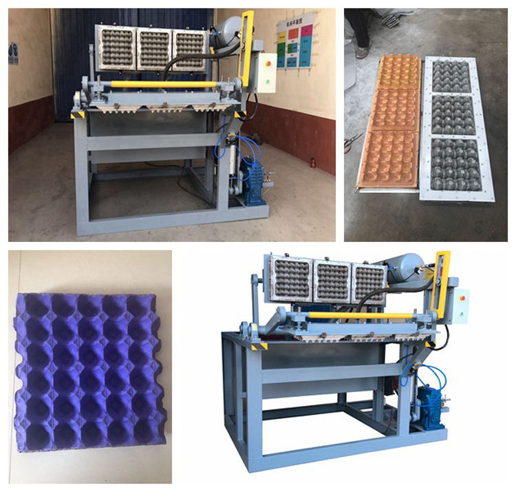 3000 Pieces Alveoles Egg Tray Fabrication Machine - High Capacity