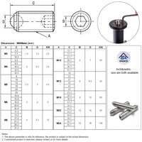 Piston à bille à longue course en acier inoxydable 304 de haute précision M3-M10 pour le positionnement de verrous