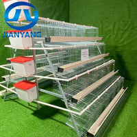 Cage à poules pondeuses à 4 niveaux et 5 portes, type A, galvanisée à chaud, équipement d'élevage avicole pour poules pondeuses