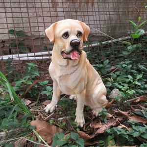 Molde de resina personalizado de fábrica, estatueta de <span class=keywords><strong>labrador</strong></span>, estátua de cão, design criativo, escultura, artesanato de resina realista, animal - Product Image 2