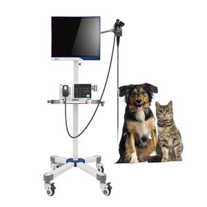 Endoscopio Flexible para animales, sistema de endoscopio de vídeo electrónico para mascotas, estación de trabajo, gastroscopia, enteroscopia con carro - Product Image 1
