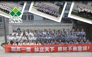 Fabricant chinois <span class=keywords><strong>mini</strong></span> équipement <span class=keywords><strong>de</strong></span> football gazon artificiel pour <span class=keywords><strong>terrain</strong></span> <span class=keywords><strong>de</strong></span> football - Product Image 6