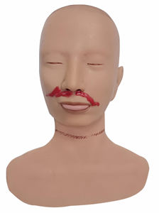 Modelo anatómico forense de extremidades inferiores y piernas para fines médicos y médicos - Product Image 5