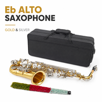 OEM Alto Saxophone Brass Body Gold Lacquer with Nickle-plated Keys Full Set with Hard Case Mouthpiece Reeds Accessories