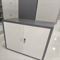 Casier individuel à deux portes, casier à vêtements en acier à 2 niveaux, armoire métallique pour vêtements, casier en acier pour écoliers