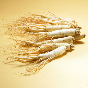 Suministro directo de fábrica Extracto de Ginseng siberiano Eleutheroside <span class=keywords><strong>B</strong></span> + E 1% Extracto de Ginseng SIBERIANO - Product Image 3