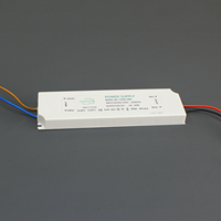 Alimentation LED ultra-mince 13 mm CE C.V DC12V/24V 12W 15W 18W 20W 24W 30W 36W 48W 60W 100W en plastique IP44 pour éclairage de miroir