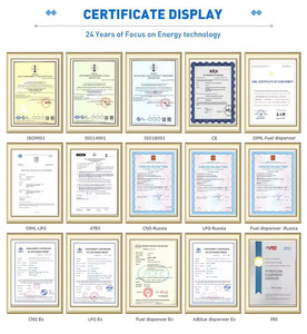 Distributeur de carburant multi-pistolets BLUESKY pour stations-<span class=keywords><strong>service</strong></span> de la République dominicaine, 1/2/4 pistolets, essence/diesel, usage intensif - Product Image 5