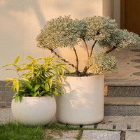 Pots de plantes modernes en ciment D33-D42, ronds, pour l'intérieur et l'extérieur, pour la décoration de jardin et de maison