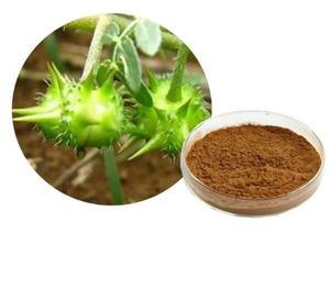 Groothandel Bulkprijs Tribulus <span class=keywords><strong>Terrestris</strong></span> Extract Poeder 90% Saponinen - Product Image 1